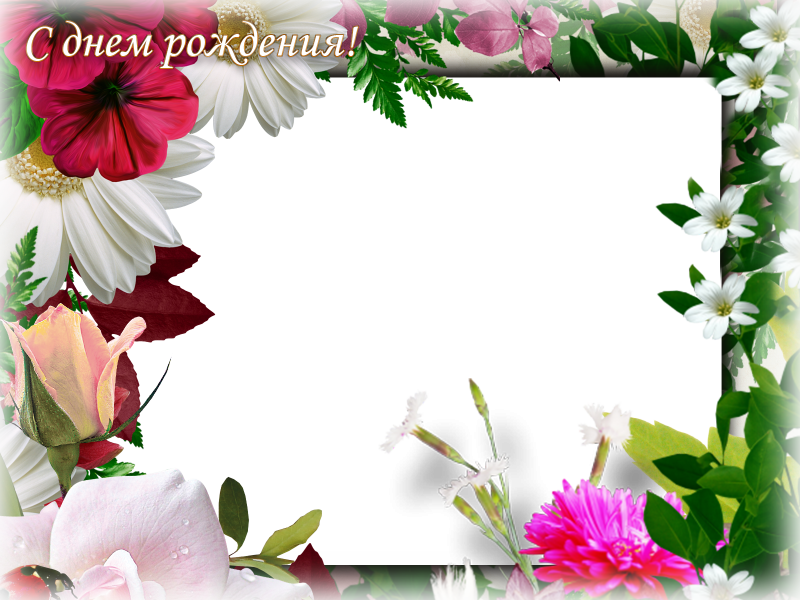 Фон для поздравления