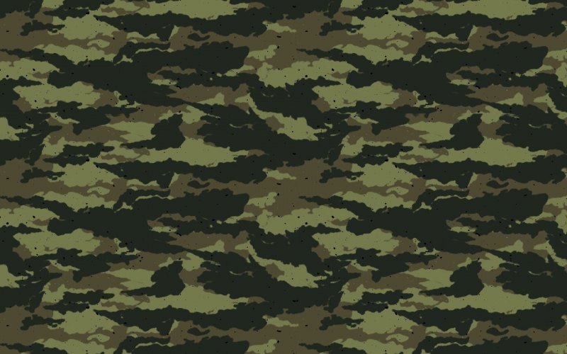 Военная расцветка