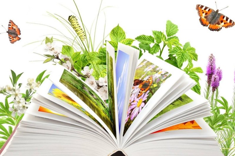 Через книгу в мир природы