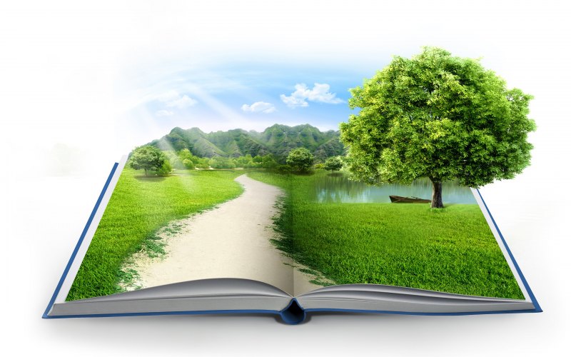 Книга природа