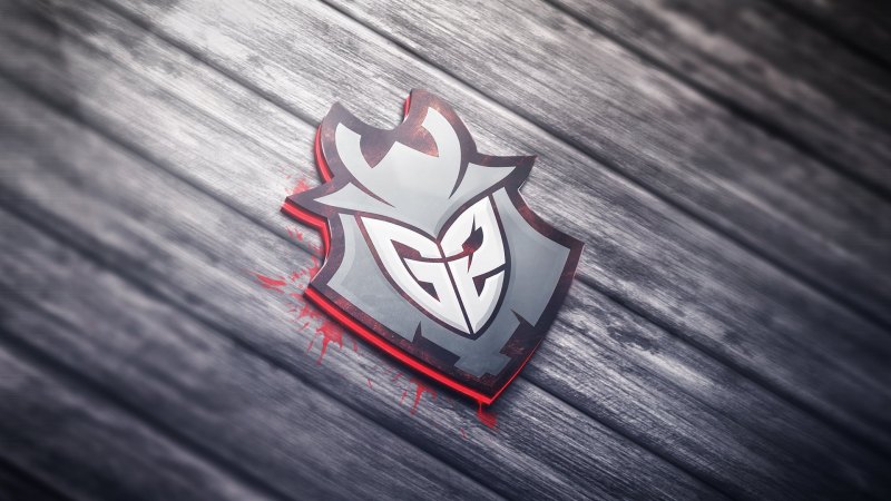 G2 CS go Malek