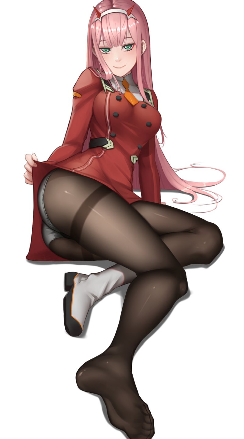 Zero two панцу