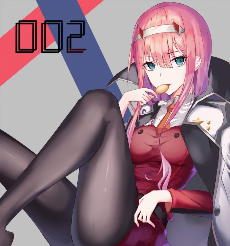 Darling in the FRANXX Zero two колготки 18