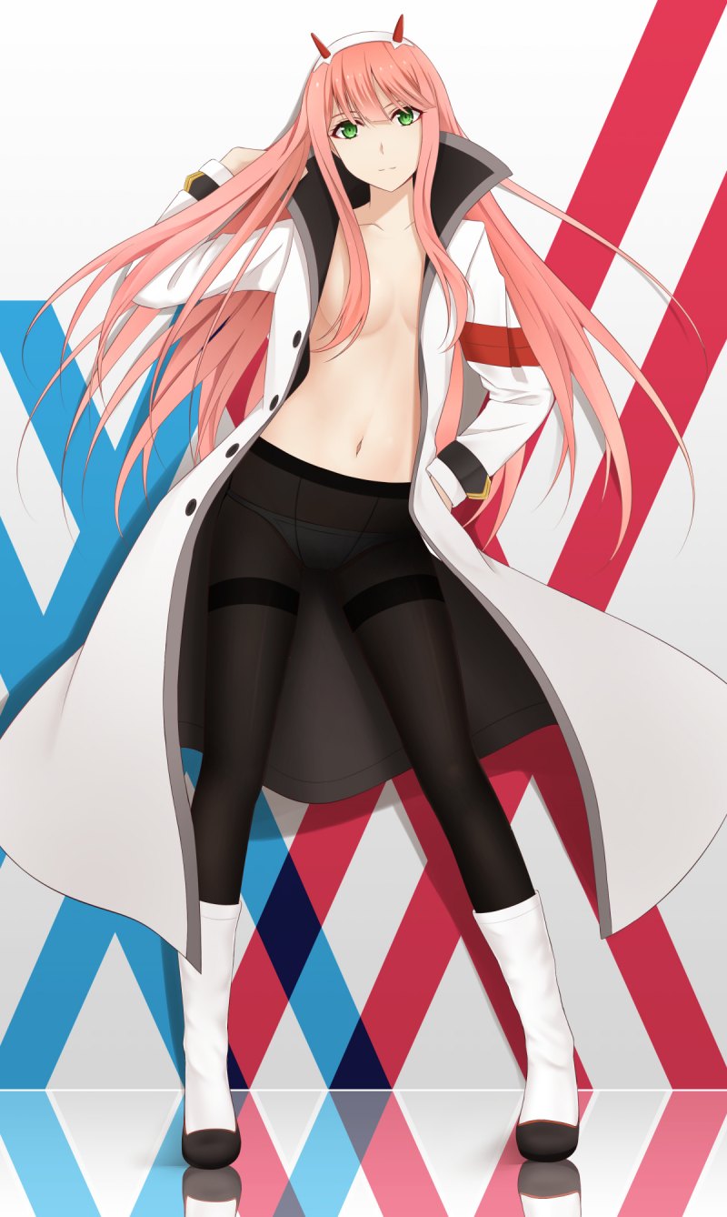 Аниме Zero two anime " Darling in the FRANXX"