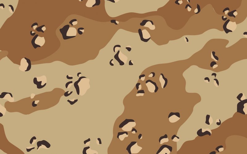 Camo Desert Storm