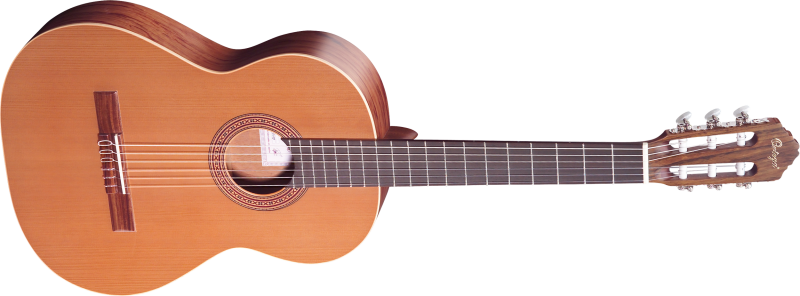 Ortega rce131