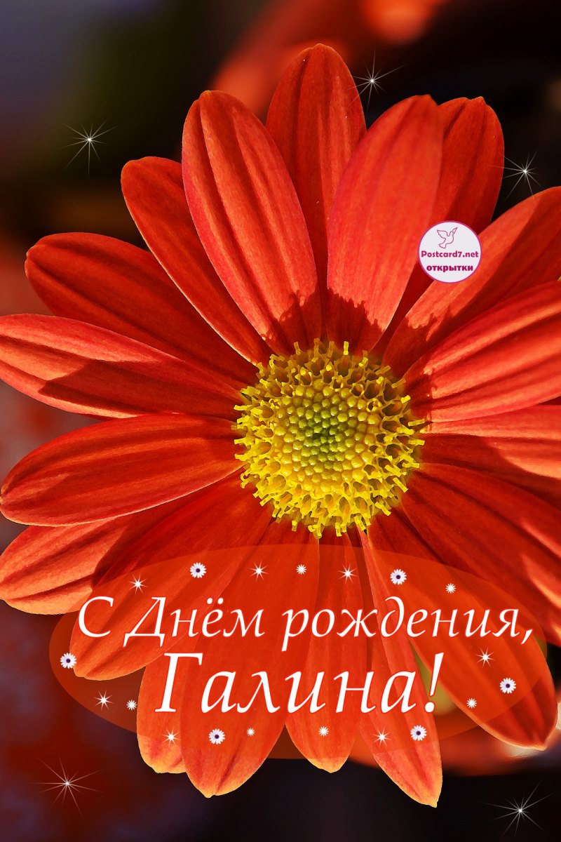 С днем рождегия Галима