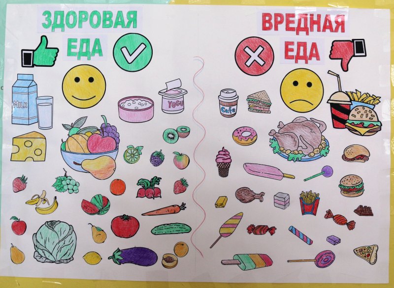 Здоровая и вредная пища