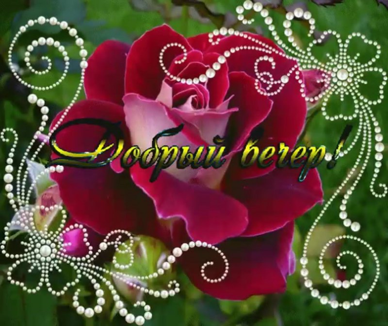 С днём рождения Ирина