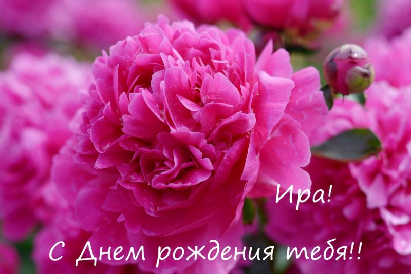 Поздравительная открытка с днём рождения анимация