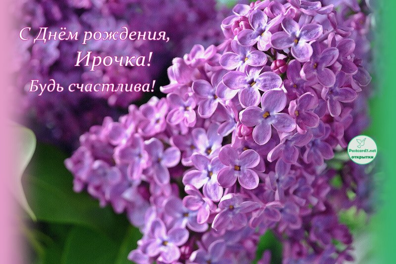 Поздравления с днём рождения мужчине Олегу
