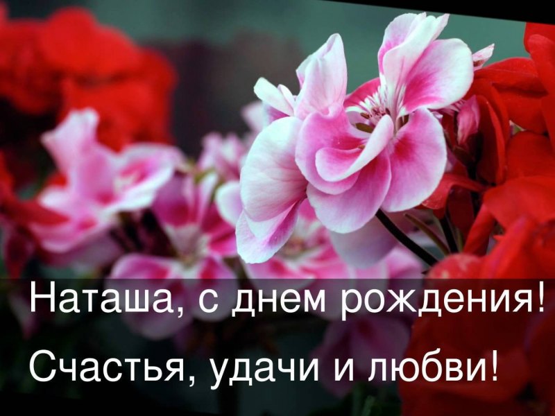 С днем рождения нашаша