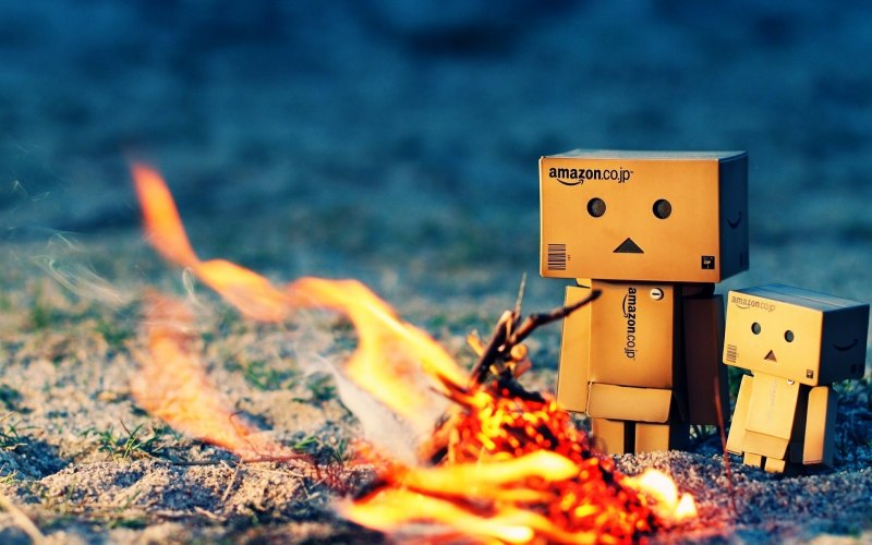 Картонный человечек Danbo