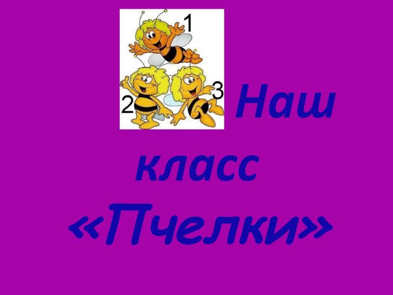 Класс пчелки