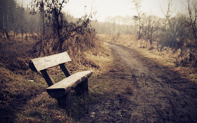 Bench 900 скамья