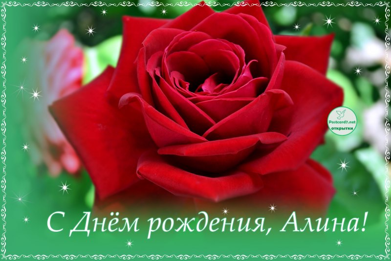С днём рождения Алина