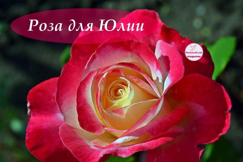 Открытки для Юлечки