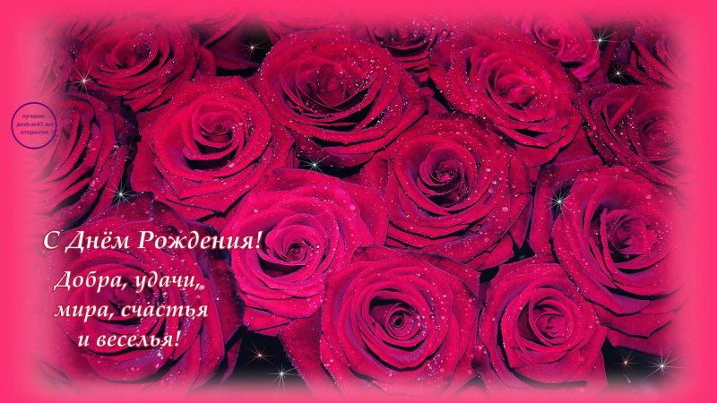 Поздравления с днём рождения розы