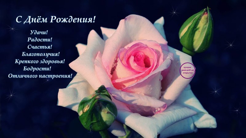 С днём рождения женщине