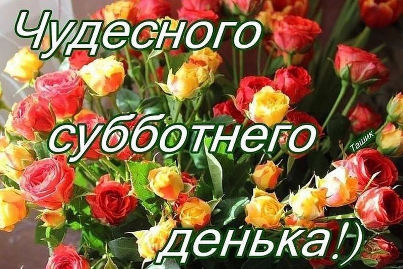 Хорошего субботнего денечка и отличного настроения