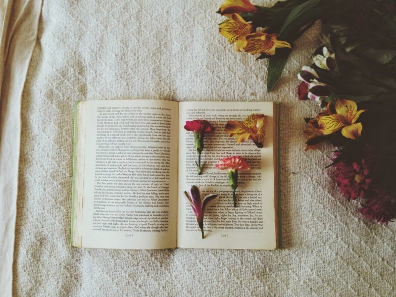 Книги Эстетика