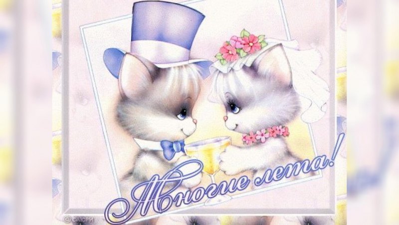С днем свадьбы прикольные