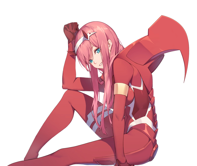 Zero two флексит