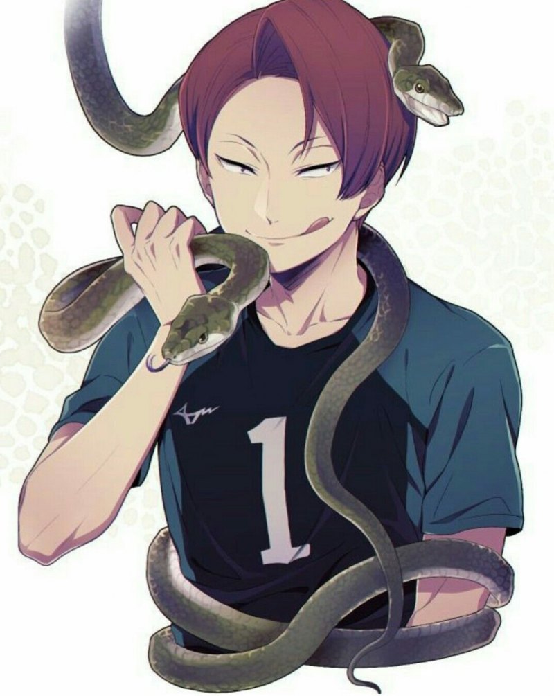 Аниме волейбол Сугуру Дайшо