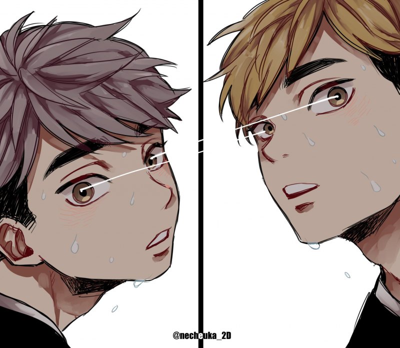 Акинори и Дайшо