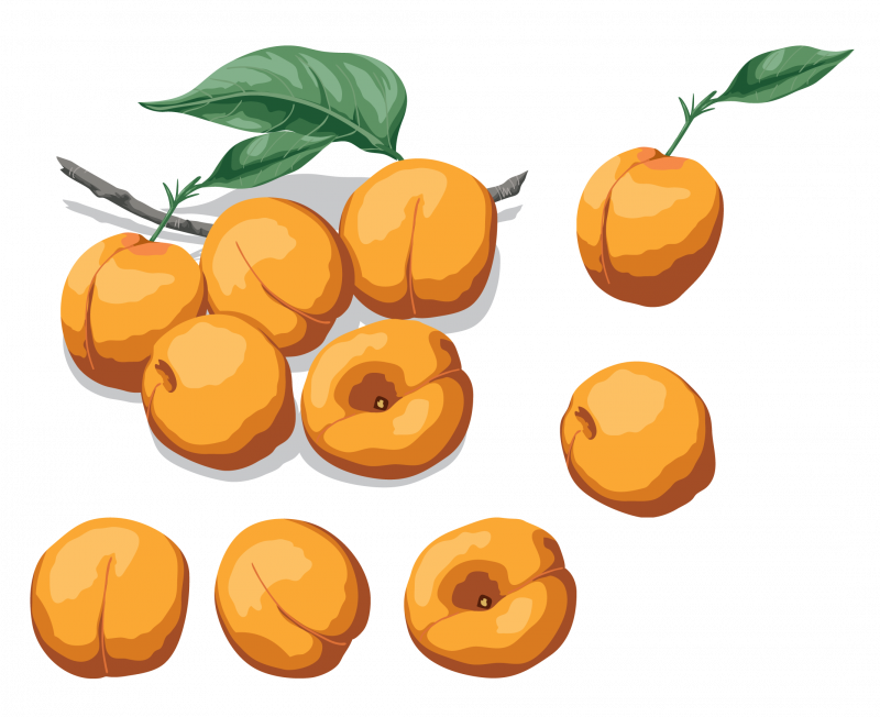 Персик пиктограмма