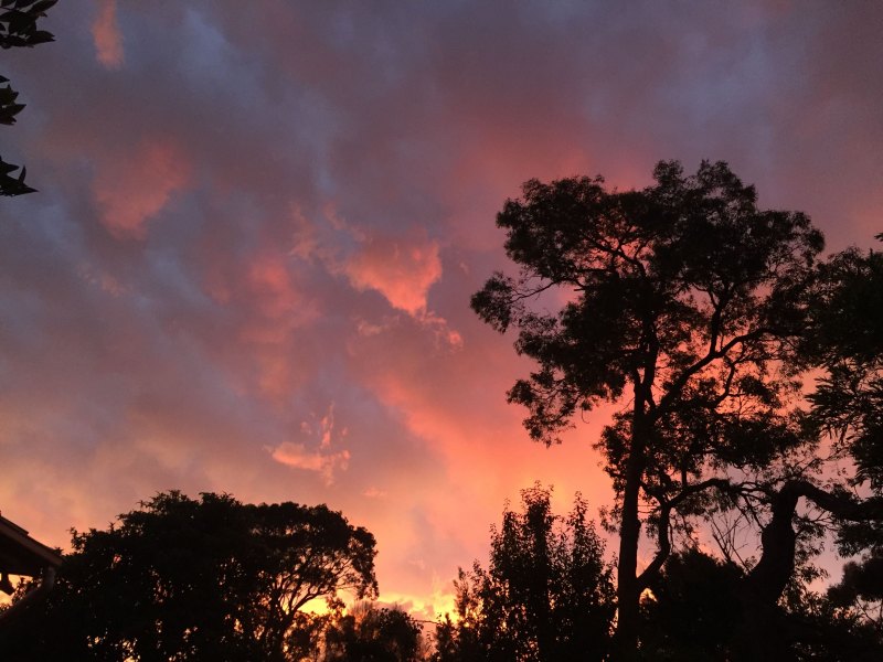 Коричневые пейзажи Эстетика