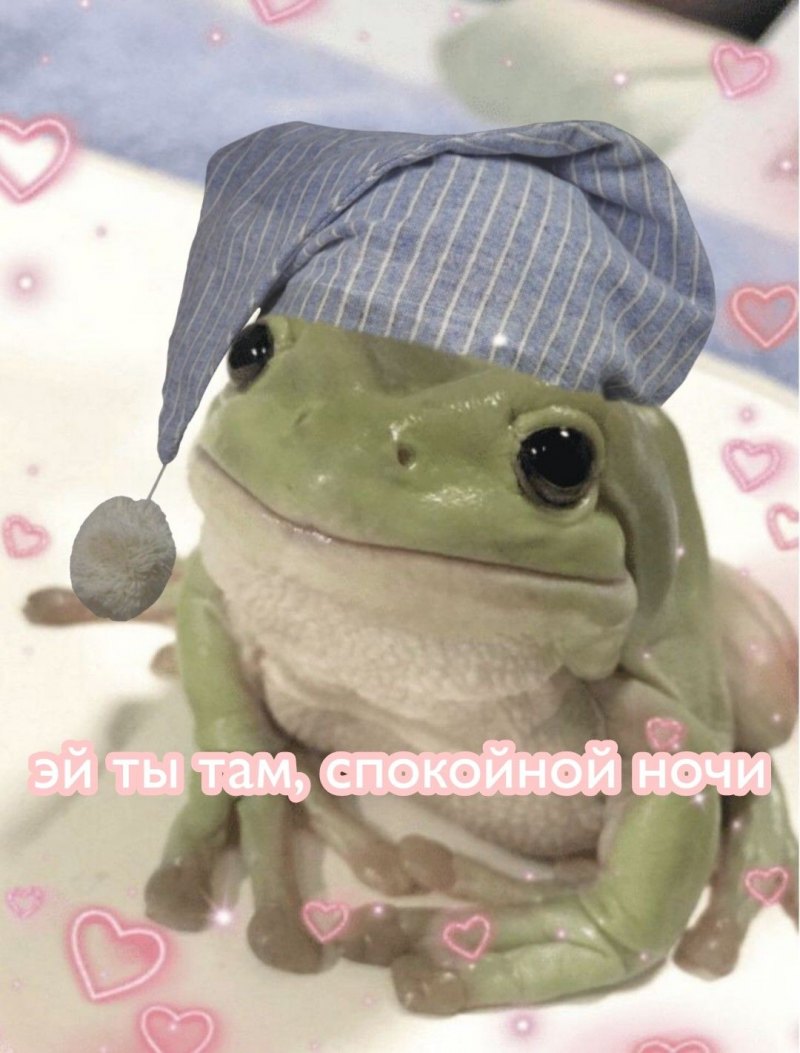Спокойной ночи лягушка