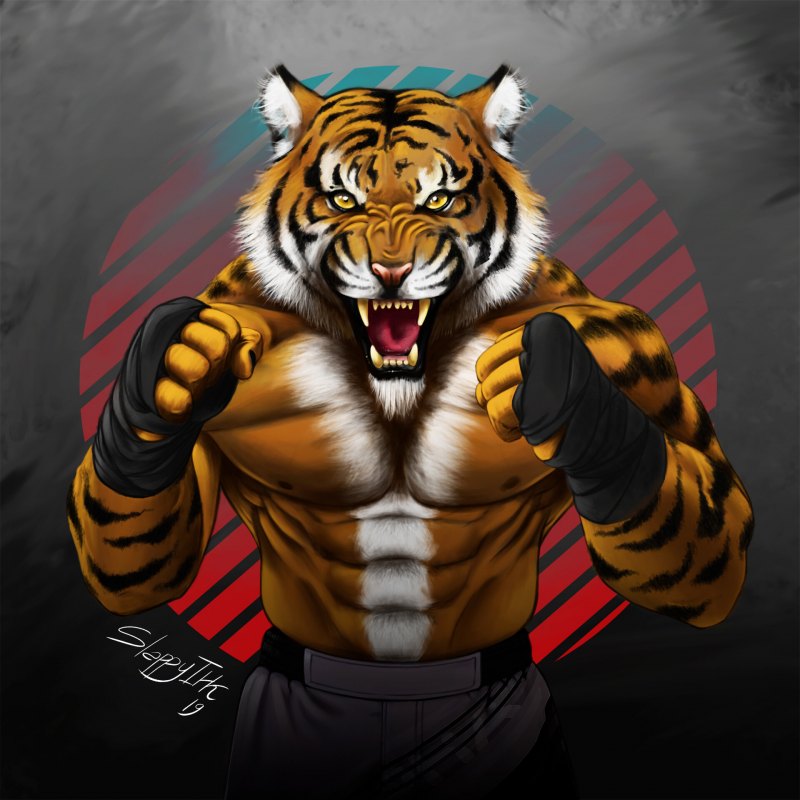 S1200 Tiger Fighter