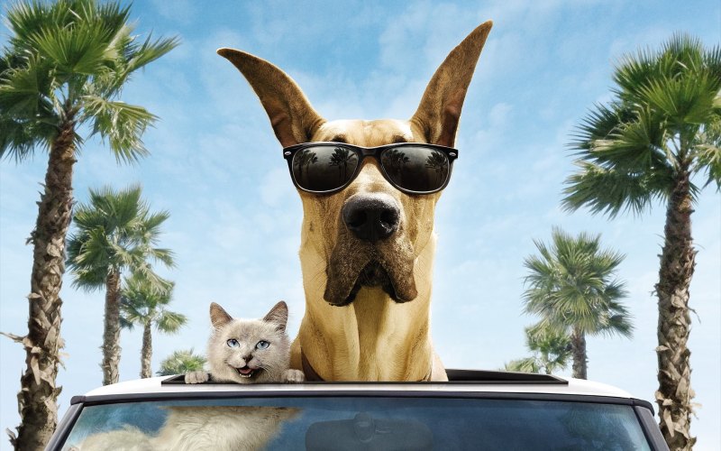 Мармадюк (Marmaduke) 2010
