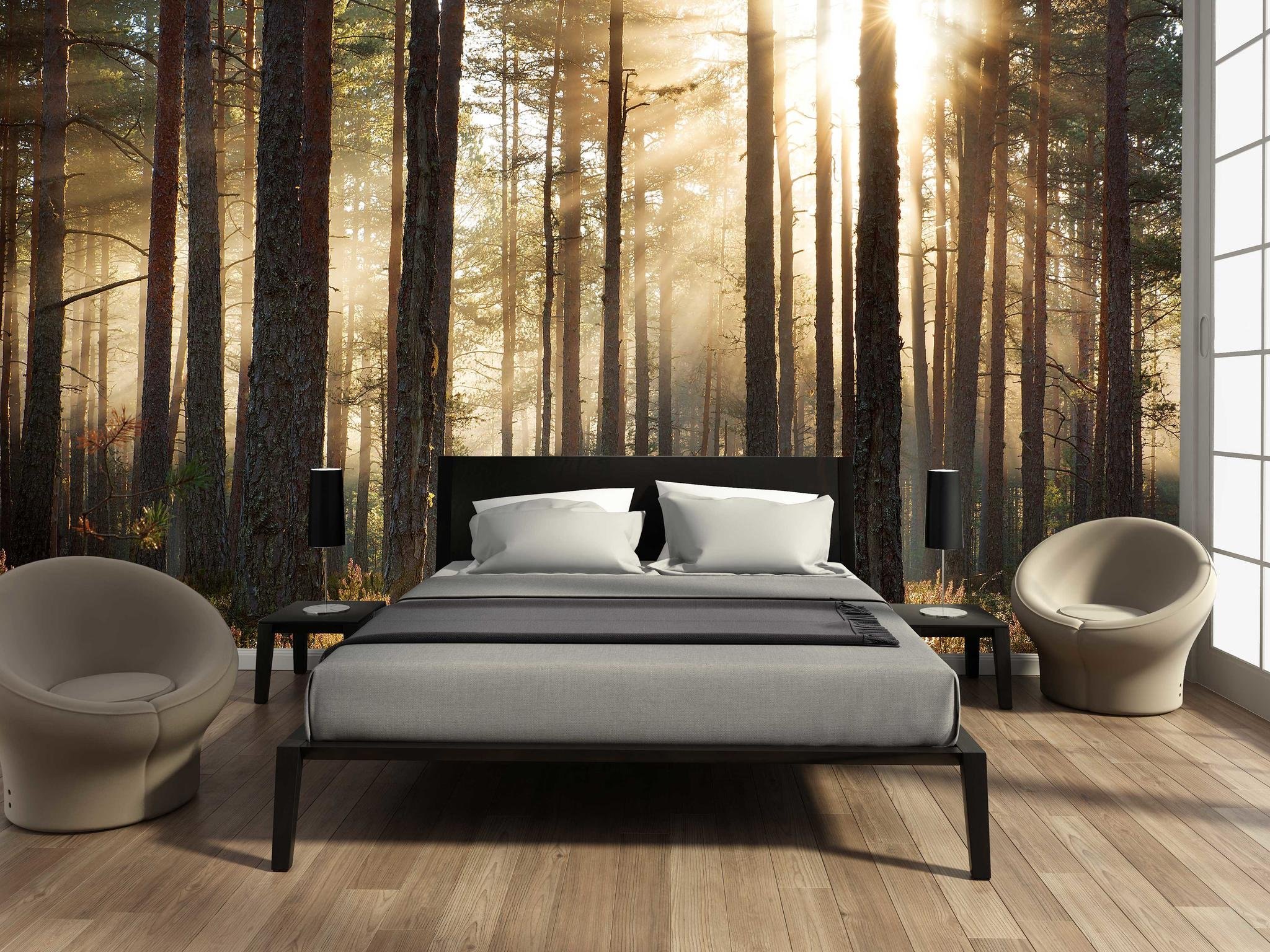 Обои на стену лес. Спальня с лесом. Спальня в стиле леса. Фотообои в интерьере спальни. Комната в стиле природы.