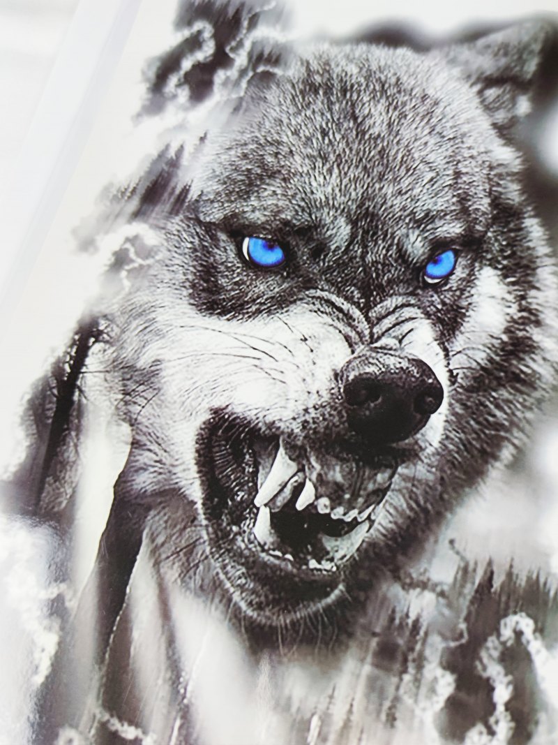 Стоковые фотографии по запросу Оскал волка