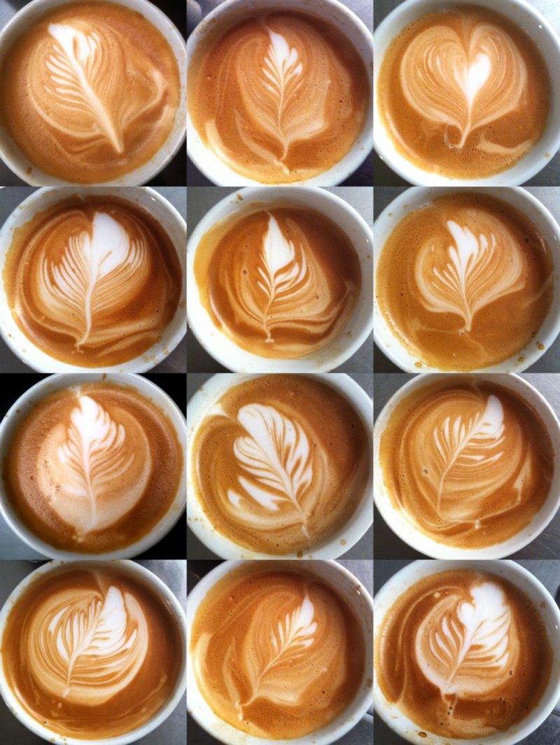 Латте арт животных