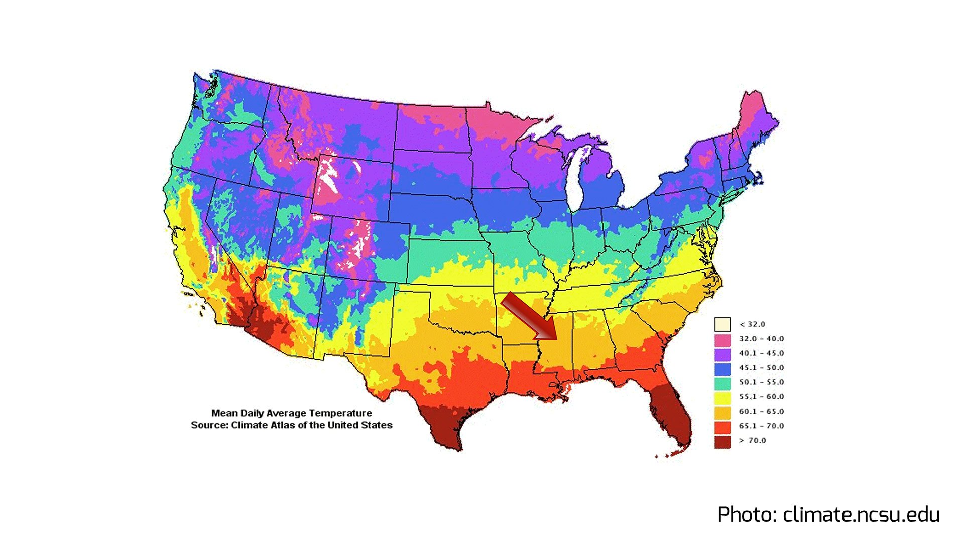 Особенности климата сша. Климат США. Климат США по Штатам карта. Климатические пояса США. Климатические зоны США карта.