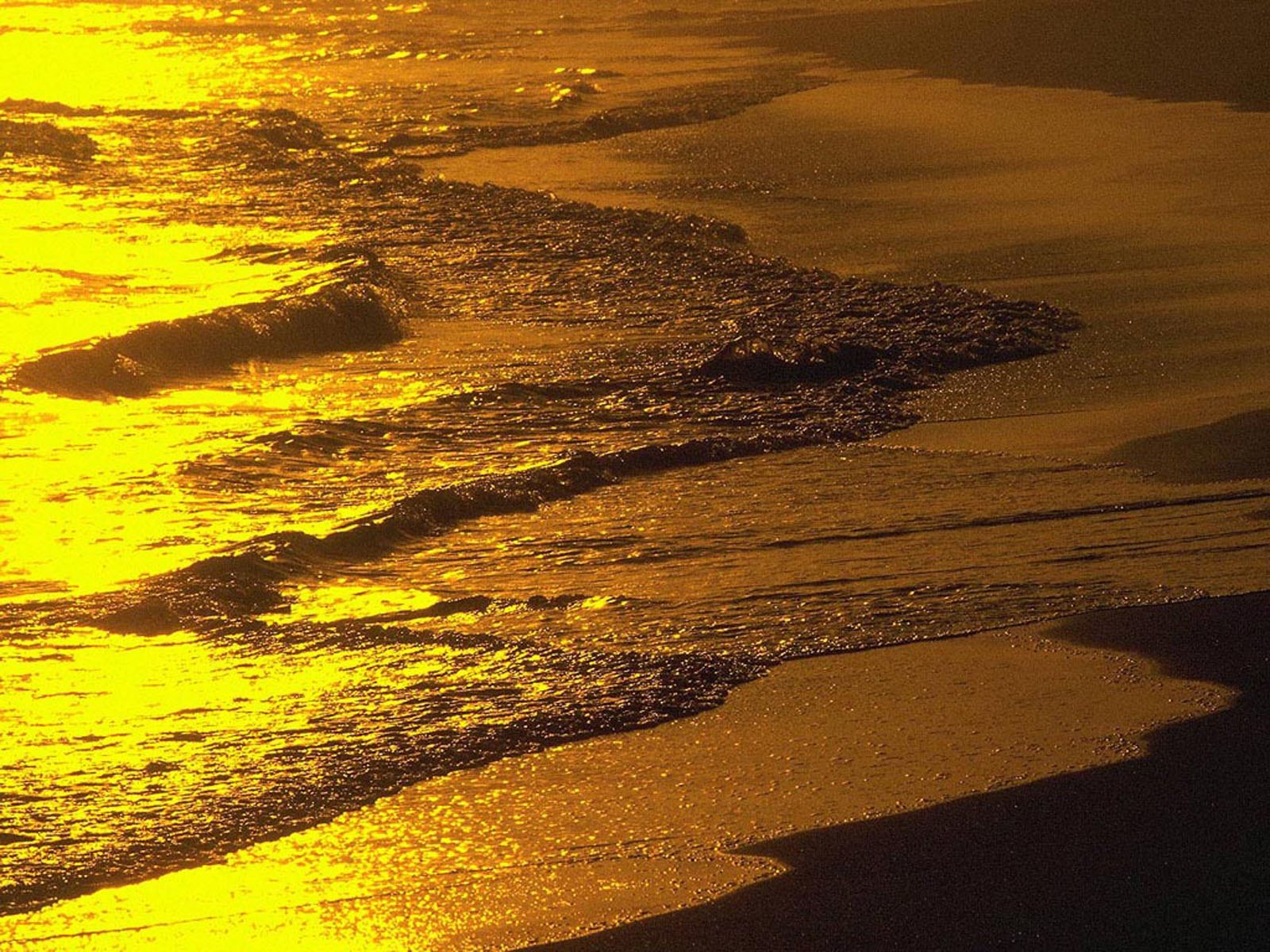 Gold sunset. Золотой закат на море. Море золотой песок. Солнечная дорожка на воде. Золотистое море.