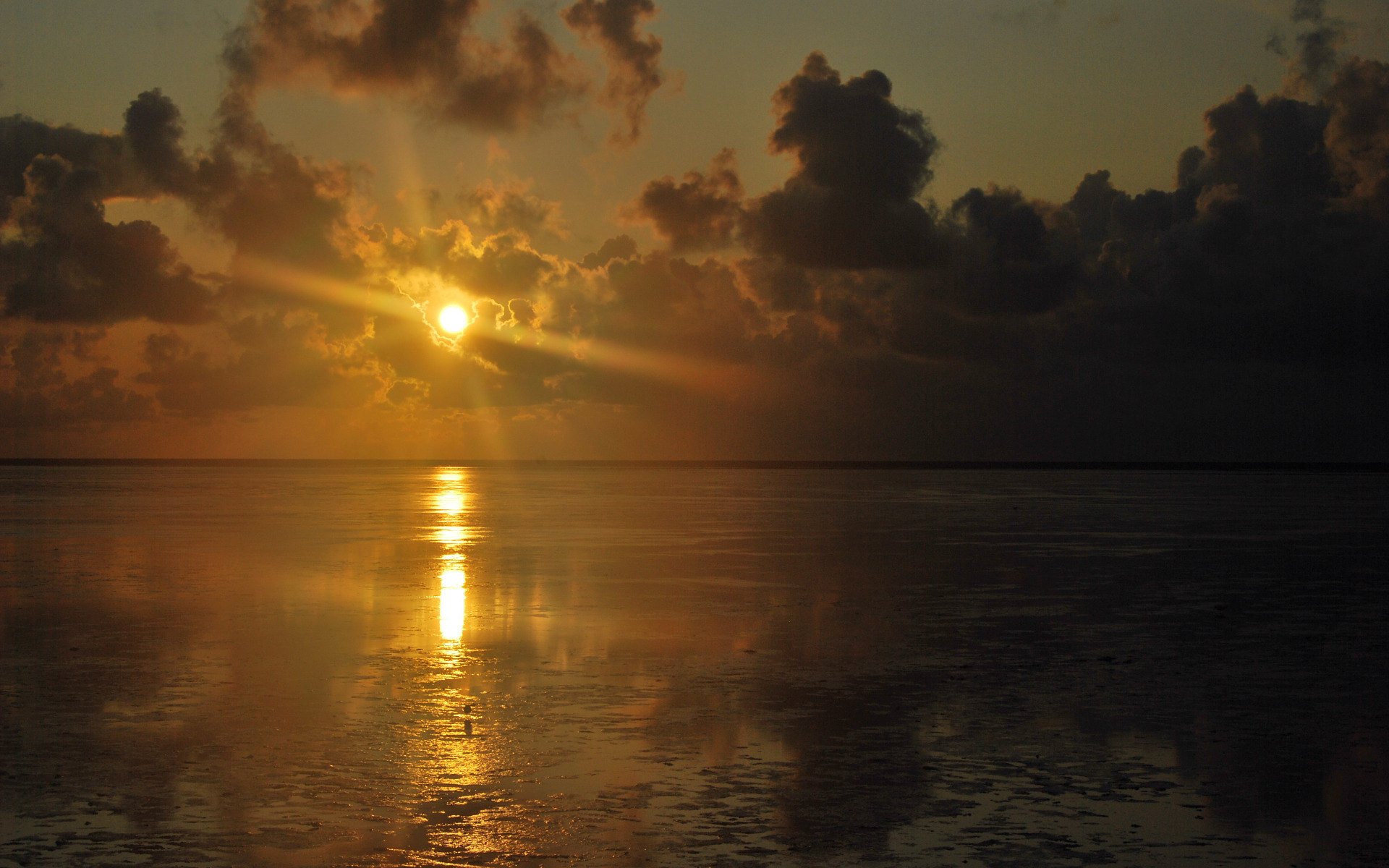 Лучи солнца на закате. Отражение солнца в море. Отражение солнца в воде. Отблески солнца на воде. Солнечное море.