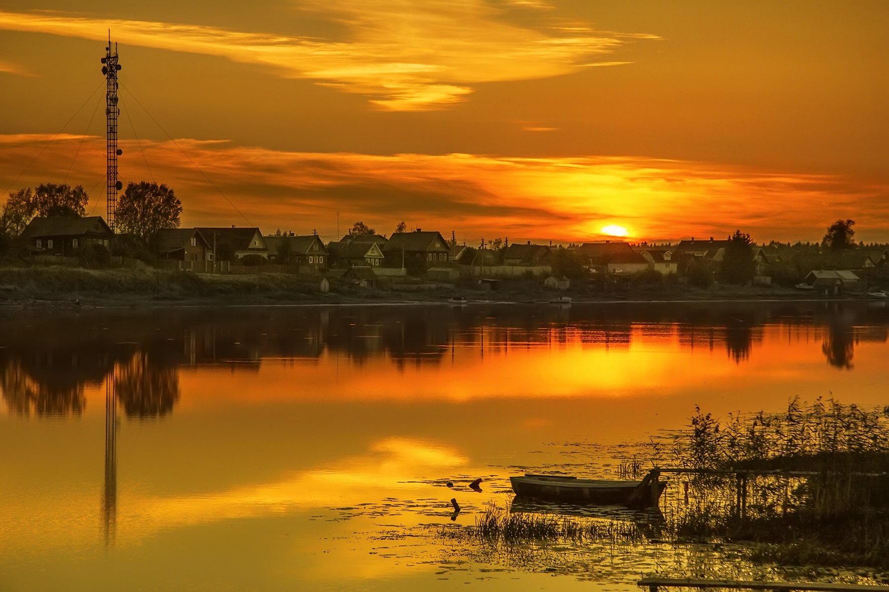 Gold sunset. Река Сясь рассвет. Закат на реке. Закат на речке. Вечер на реке.