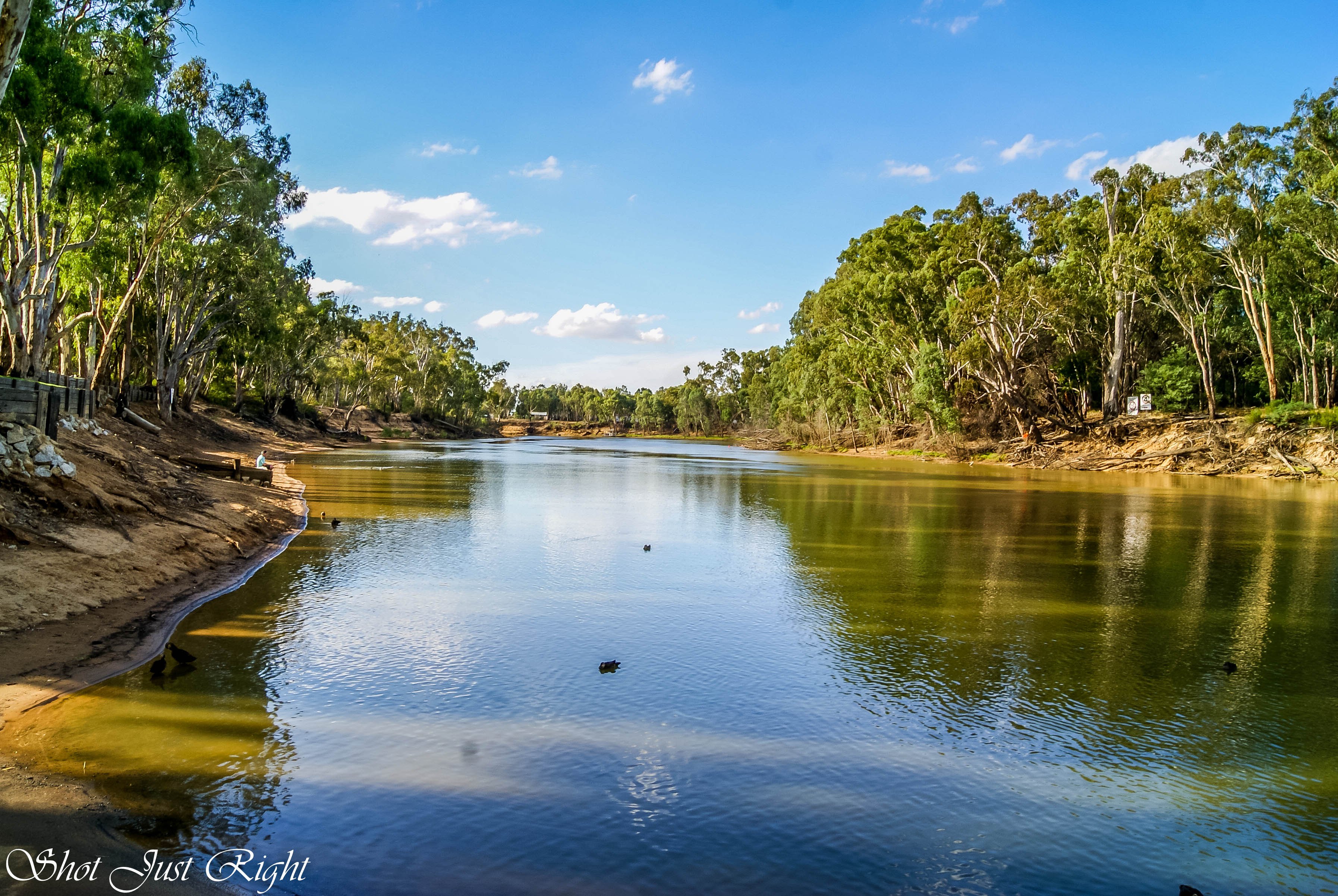 Река дарлинг полноводна. Река Муррей в Австралии. Муррей и Дарлинг. Река Дарлинг в Австралии. Реки Дарлинг и Муррей.