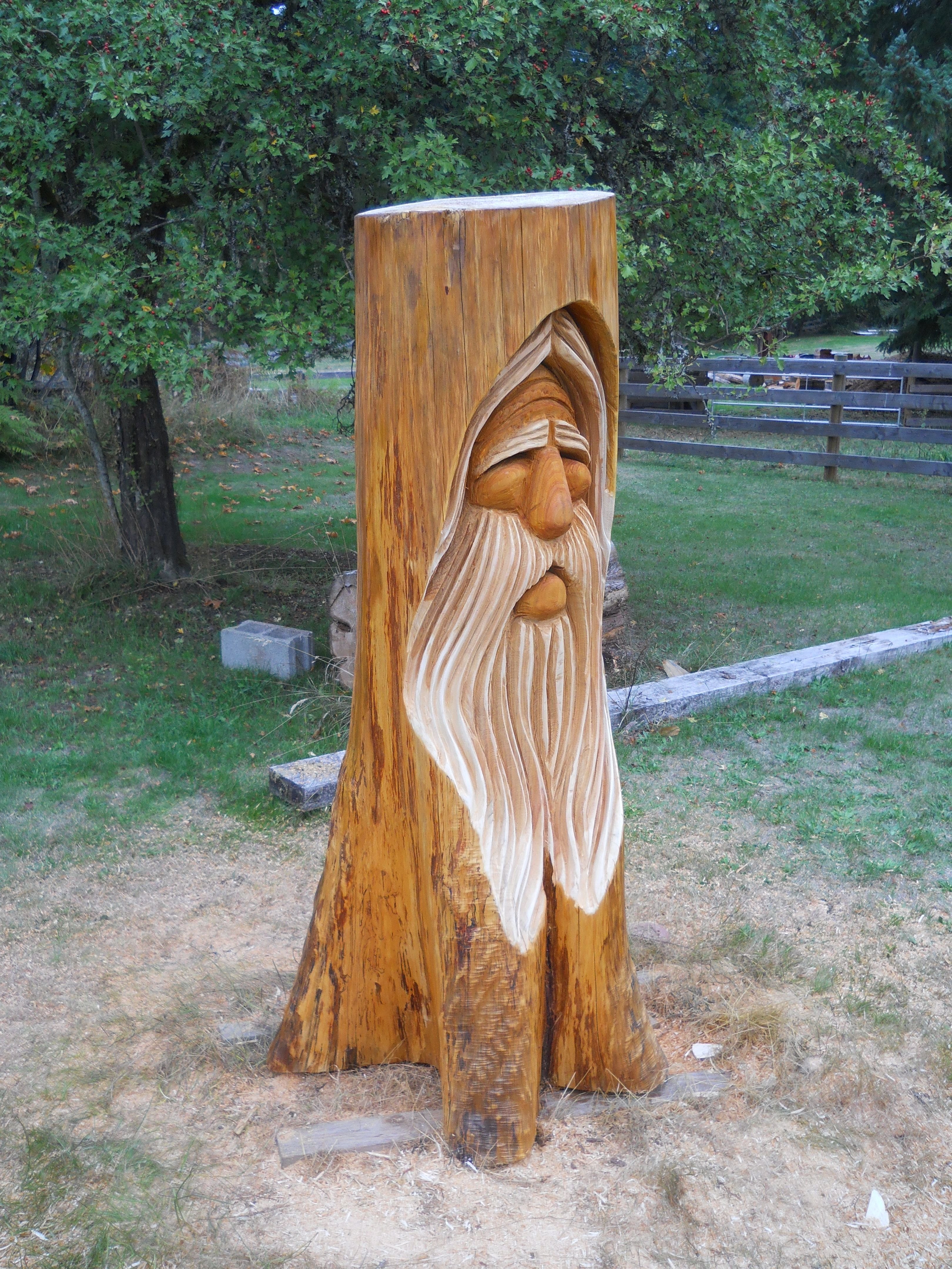 Благовещенский пенсионер создает фигуры из крон деревьев