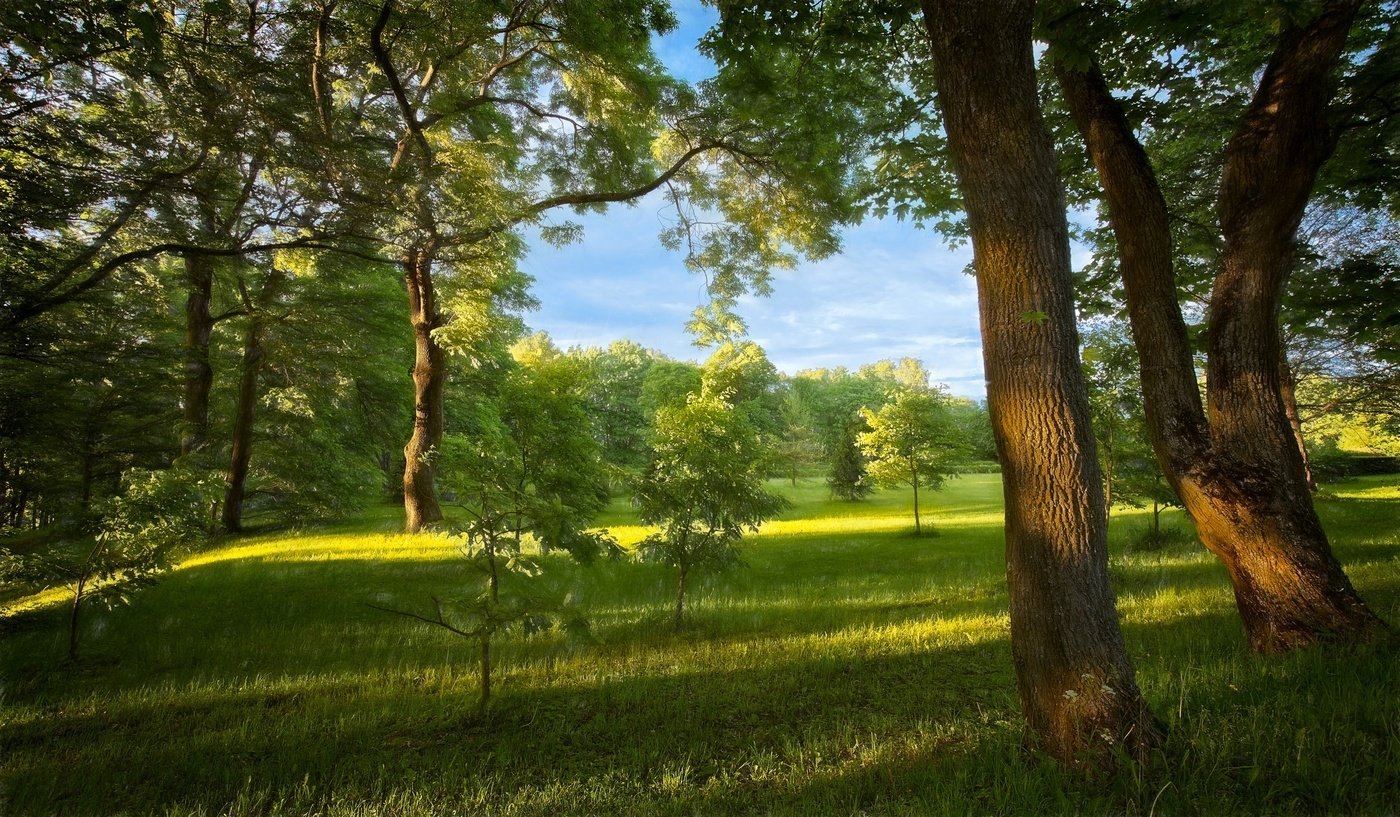 Пейзаж лета