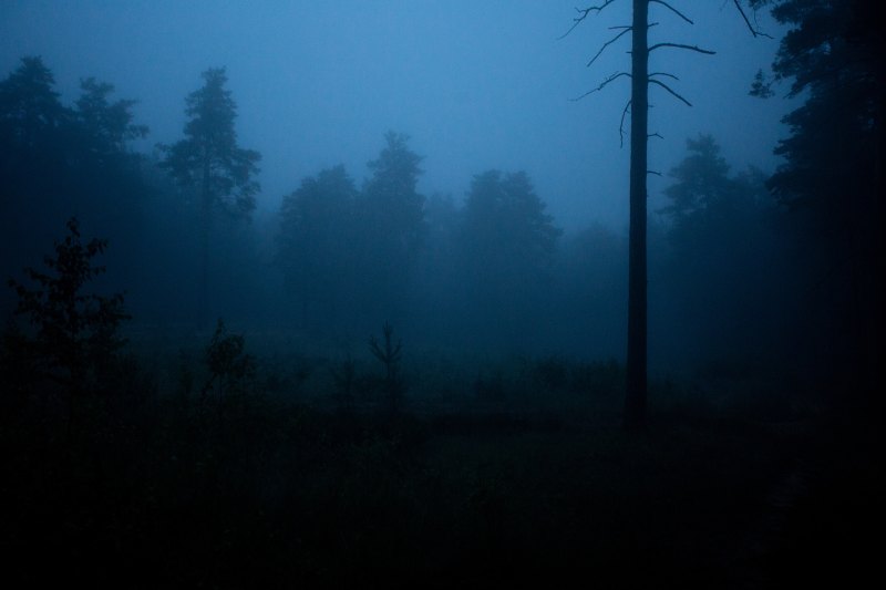 Фонарь в тумане