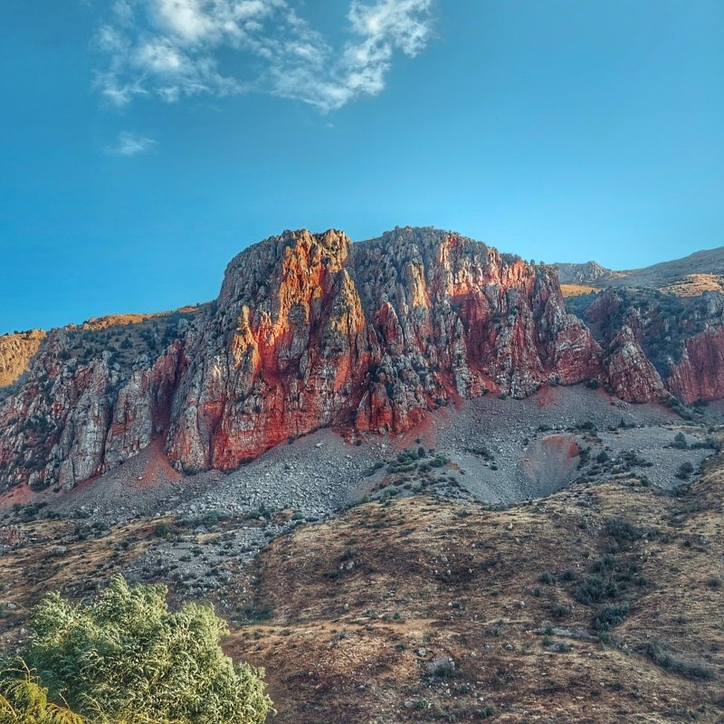 Армения гора Арарат Маковое поле