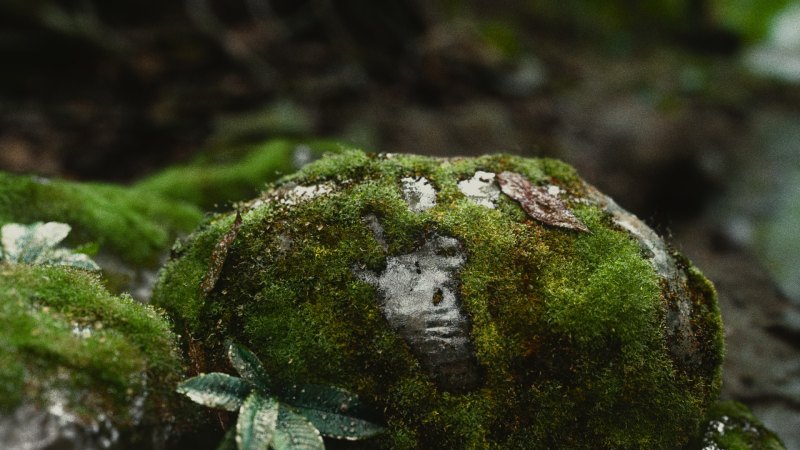 Мох Эстетика