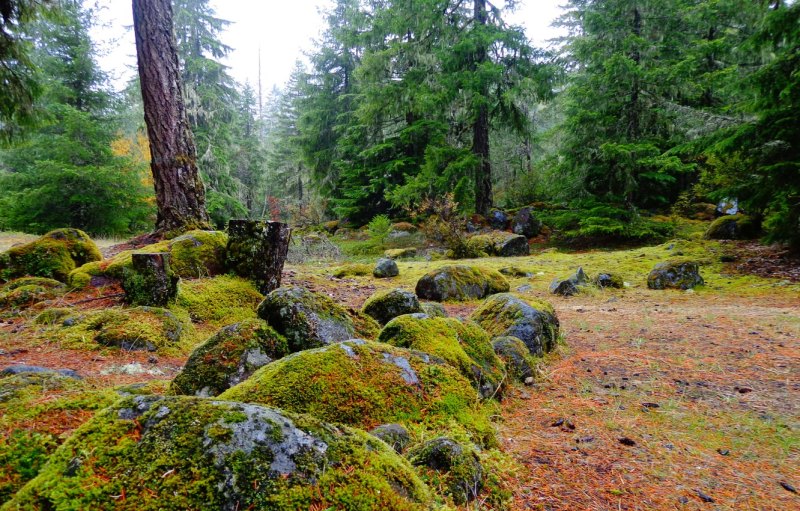 Долина мхов Карелия