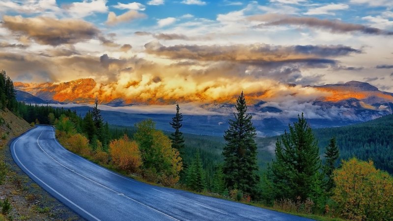 Пейзаж с дорогой