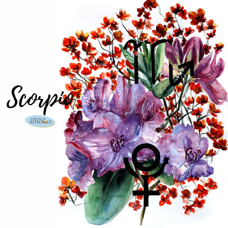 Знак зодиака Овен девушка